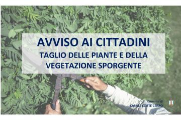 Avviso taglio delle piante e della vegetazione sporgente
