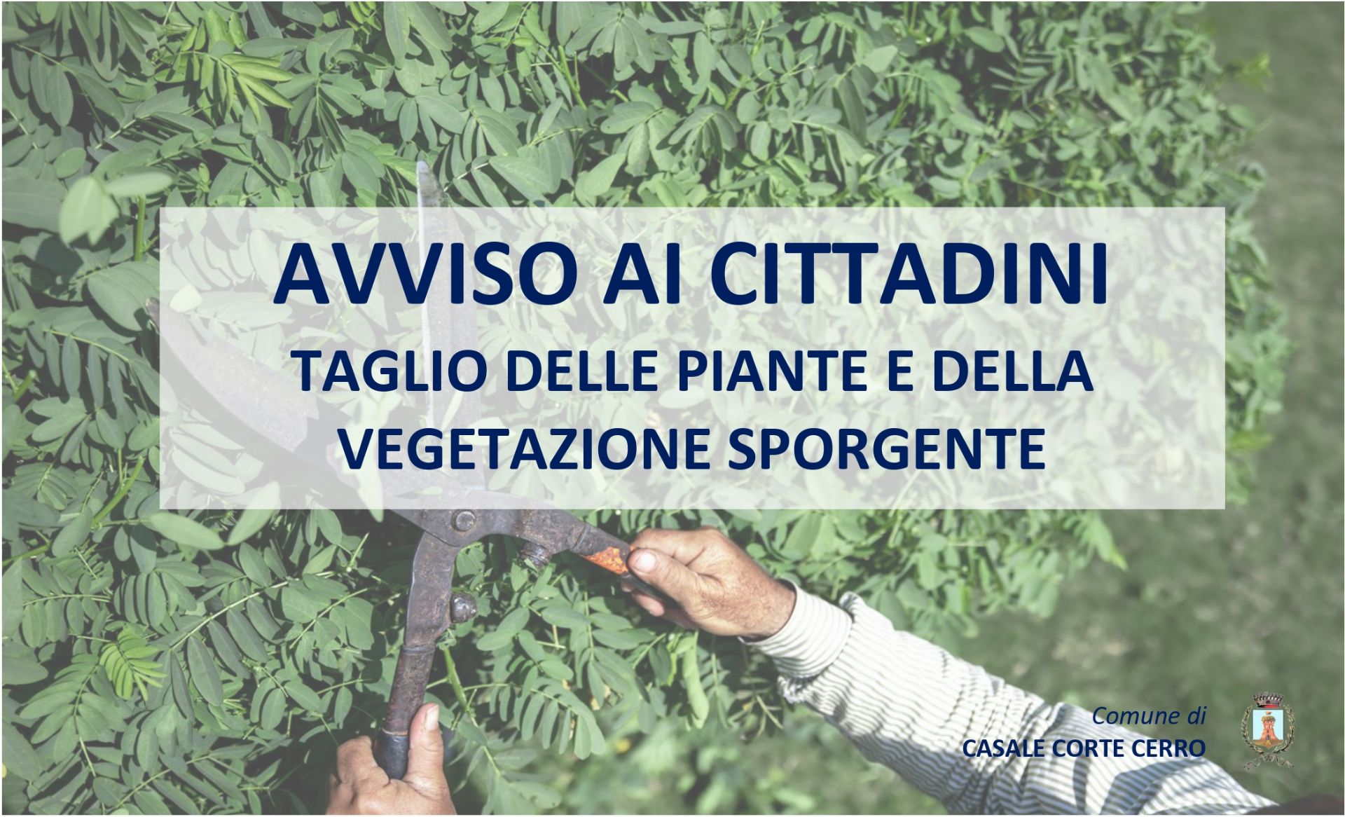 Avviso taglio delle piante e della vegetazione sporgente
